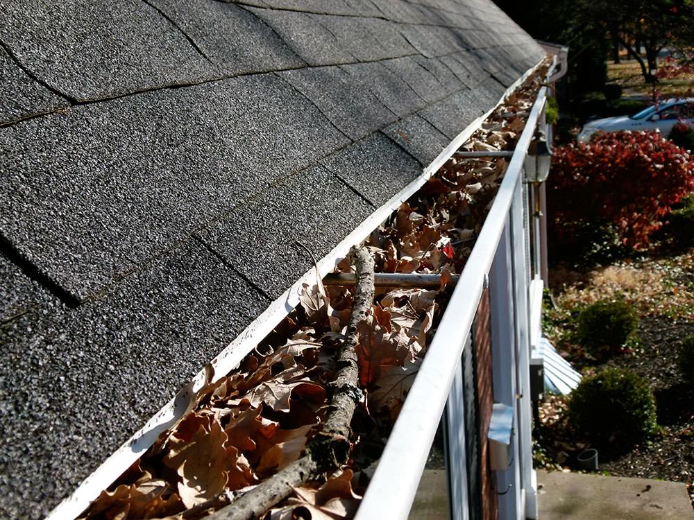 How to Prepare your Roof for Spring Time? Irving Roofing Pro